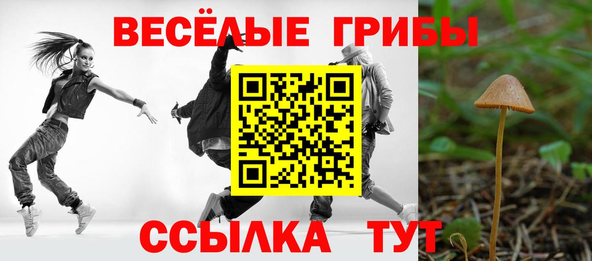 Псилоцибиновые грибы ЛСД Лянтор