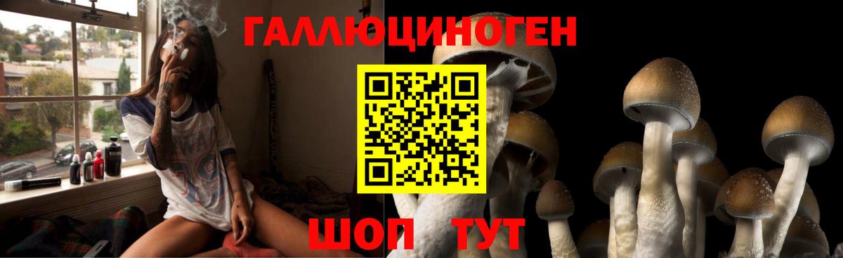 Лянтор  Псилоцибиновые грибы мицелий  Вход с VPN 